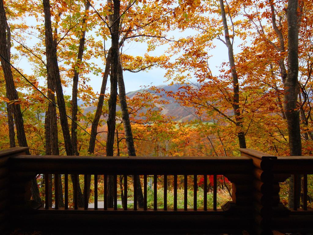Holiday Cottage Green Valley Hakuba Ngoại thất bức ảnh