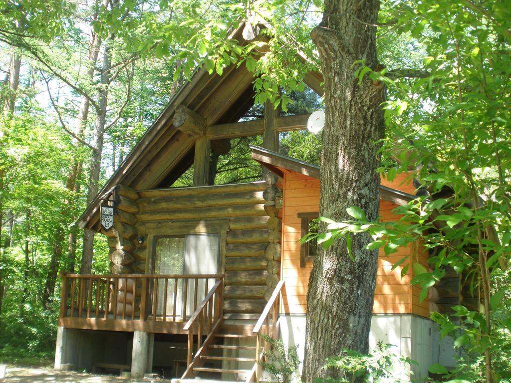 Holiday Cottage Green Valley Hakuba Ngoại thất bức ảnh