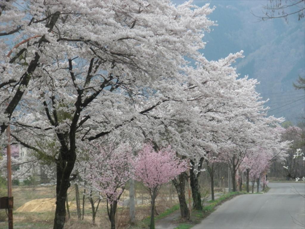 Holiday Cottage Green Valley Hakuba Ngoại thất bức ảnh