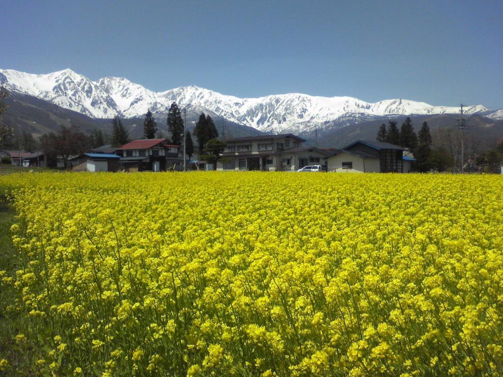 Holiday Cottage Green Valley Hakuba Ngoại thất bức ảnh