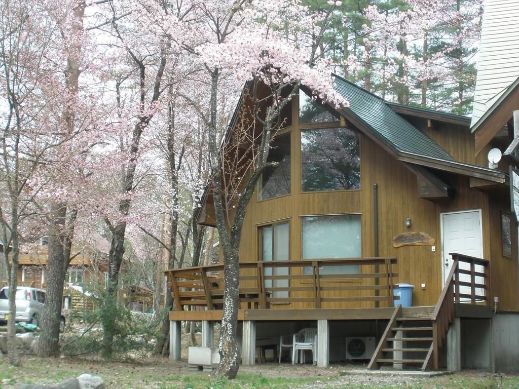 Holiday Cottage Green Valley Hakuba Ngoại thất bức ảnh