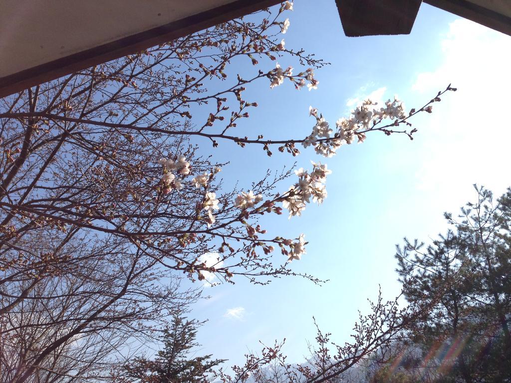 Holiday Cottage Green Valley Hakuba Ngoại thất bức ảnh