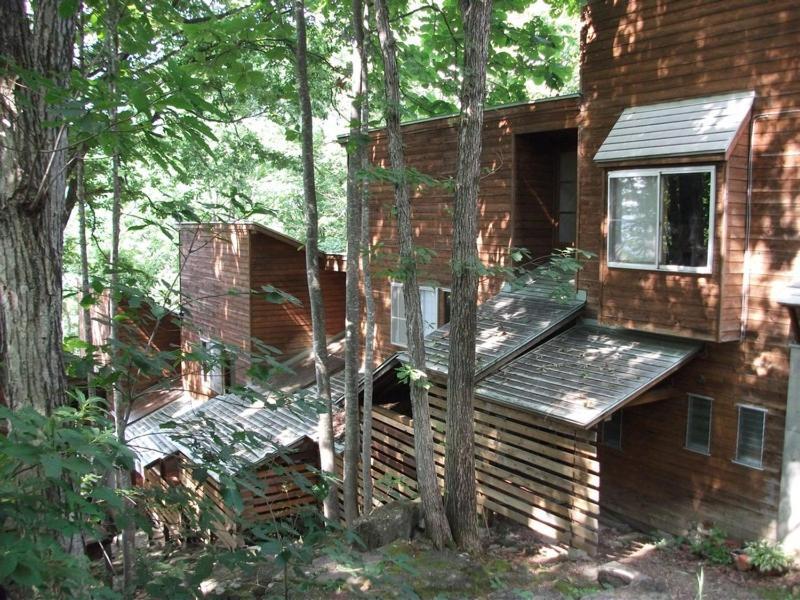 Holiday Cottage Green Valley Hakuba Ngoại thất bức ảnh